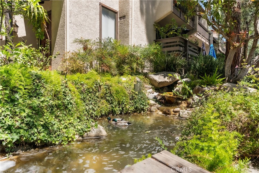 21801 Burbank 97