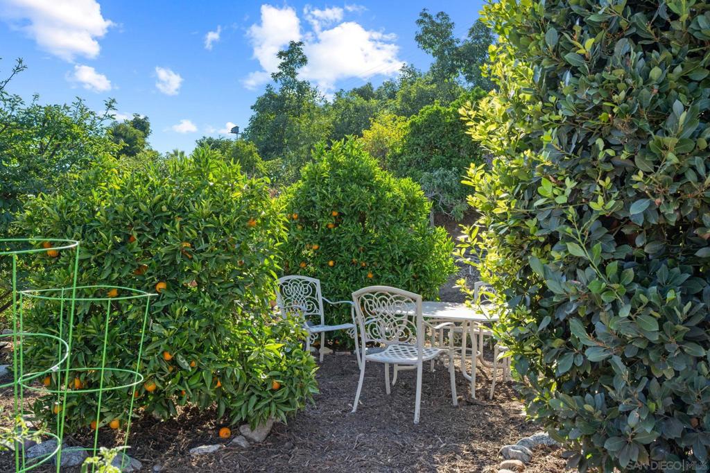 Rancho Santa Fe - Residential