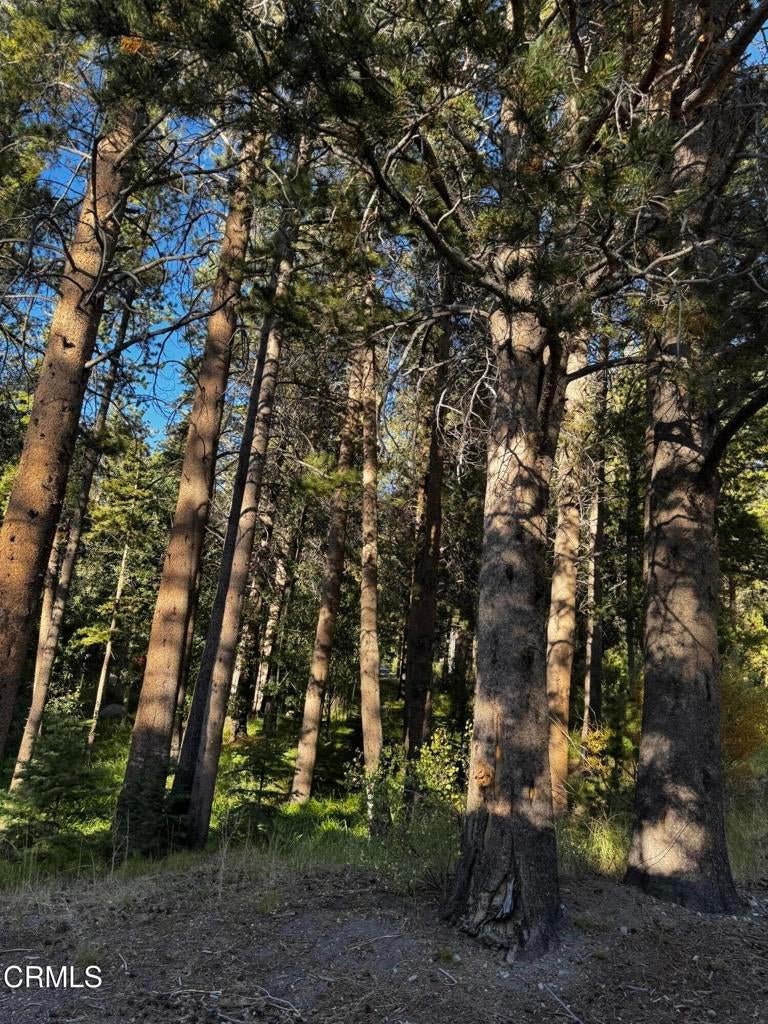 Lot 4 Minaret Road