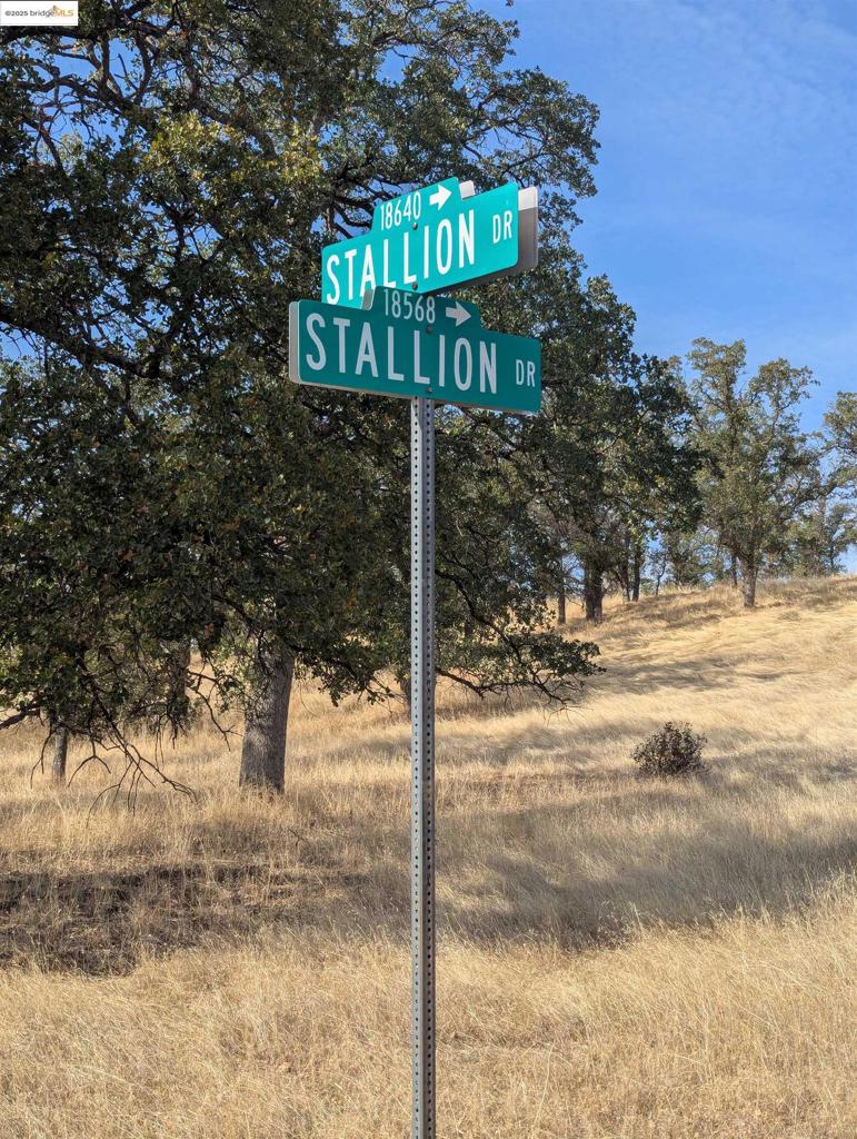 Vacant Lot For Sale – 1.7 Acres | 18574 Stallion Dr, Red Bluff, CA Opportunity knocks in Red Bluff! This sprawling 1.7-acre (75,358 sq ft) vacant lot at 18574 Stallion Dr offers the perfect canvas to build your dream home, vacation getaway, or investment property. Nestled in a peaceful, natural setting, this lot provides ample space, privacy, and potential. Key Features: Generous 1.7-acre parcel Tranquil and scenic surroundings Few minutes from downtown Red Bluff Ideal for custom builds, recreation, or future development Motivated Sellers – This property is part of an inherited estate, and the sellers are eager to sell. The adjacent large lot at 18576 Stallion Dr is also available, offering even more opportunity for expansion or investment. Interested? Call Shaha Hone with Compass for more information.