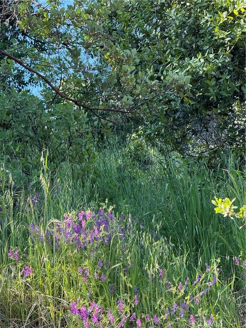 Photo of 6705 Floyd Way, Nice, CA 95464 (MLS # LC25088480)