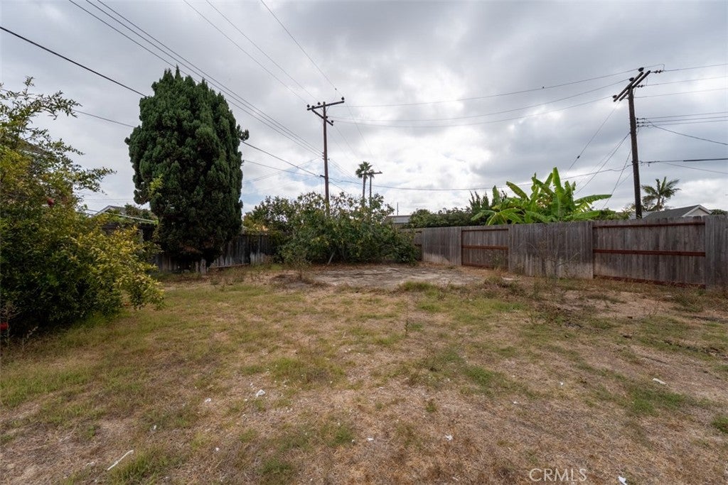 11617 Carnation