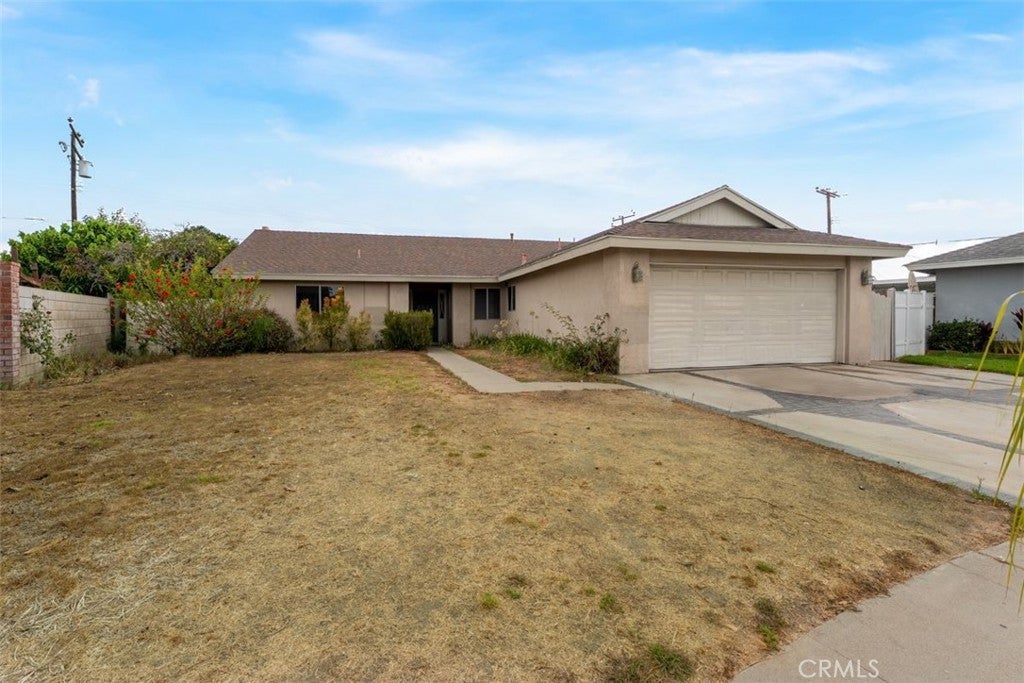 11617 Carnation