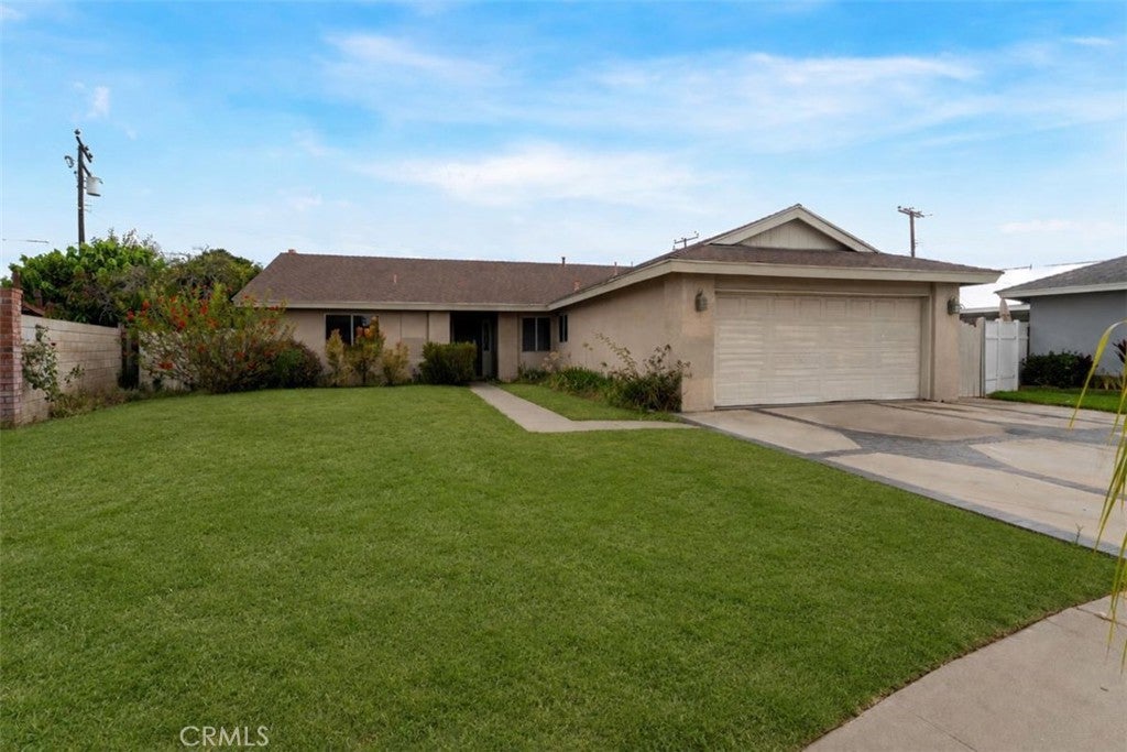 11617 Carnation
