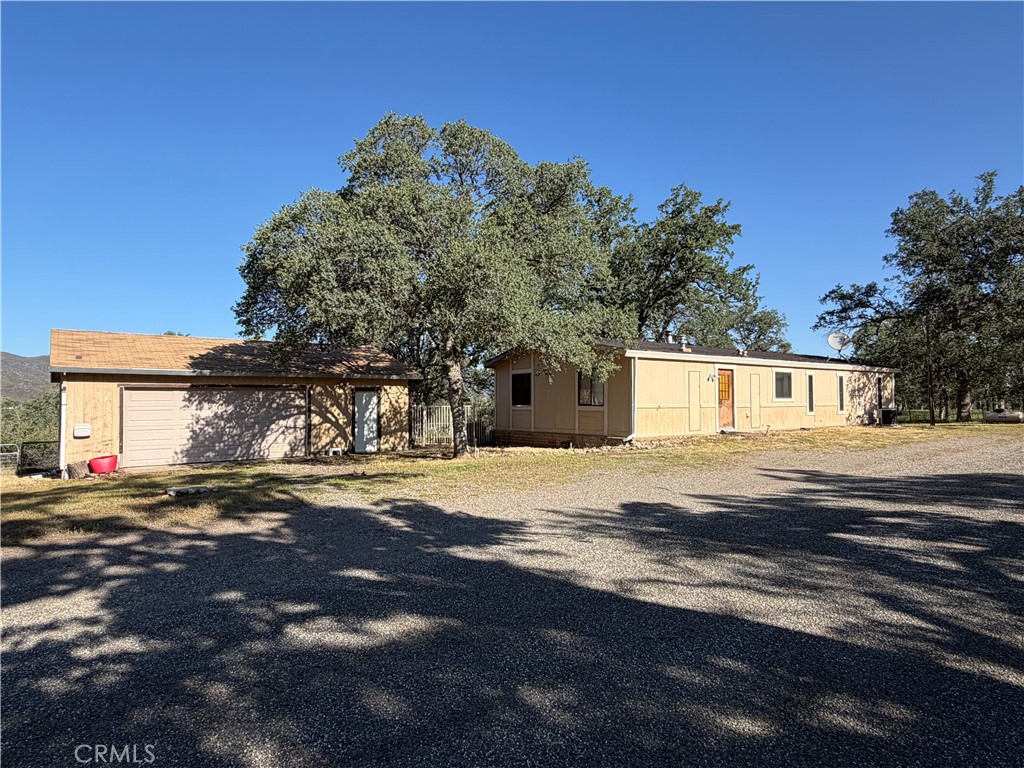 1165 W Ruby King