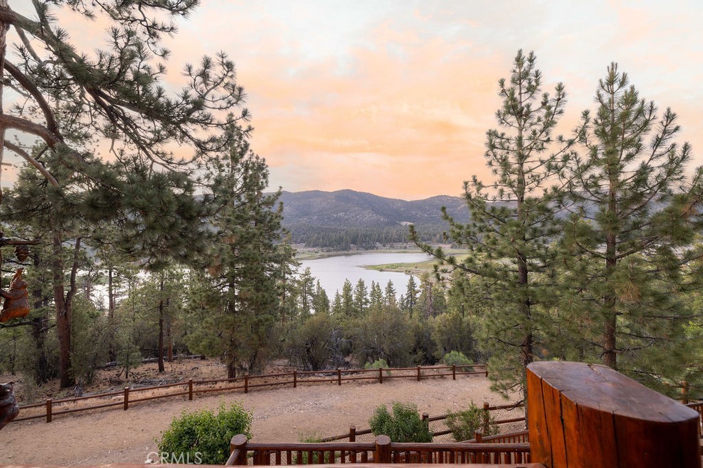 42668 Timberline Trail