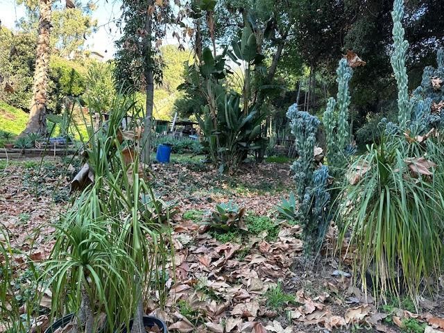 Pomona, California, 91768, United States, 3 Bedrooms Bedrooms, ,2 BathroomsBathrooms,Residential,Active,2010148