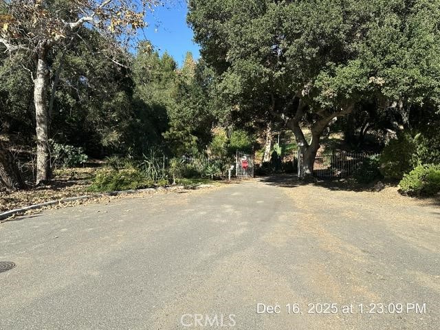 1295 Loma Vista