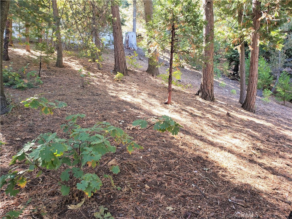 Arrowhead Woods - Land