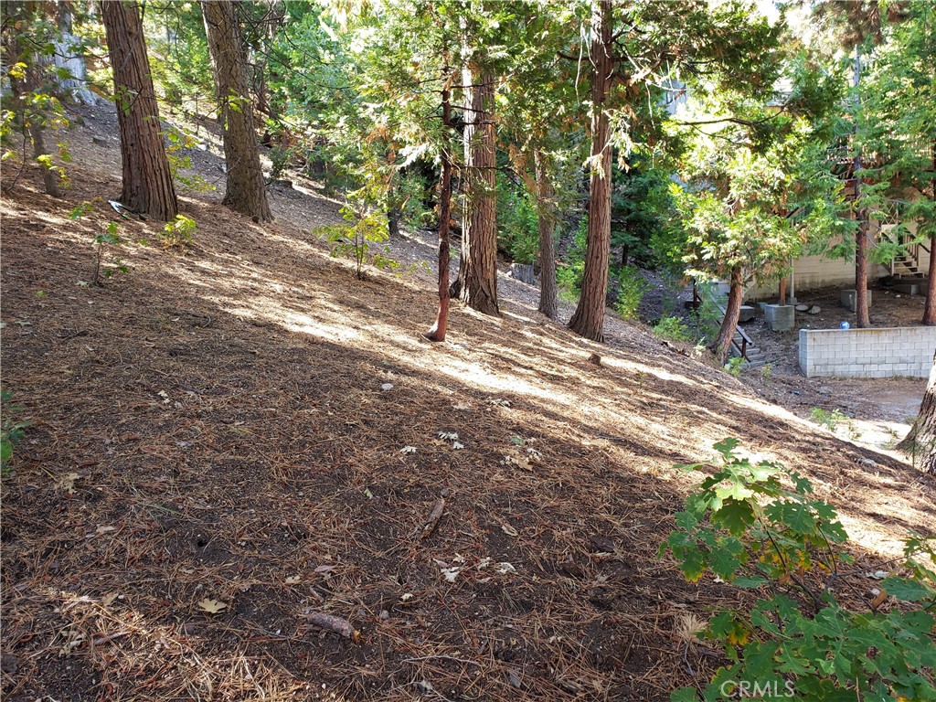 Arrowhead Woods - Land