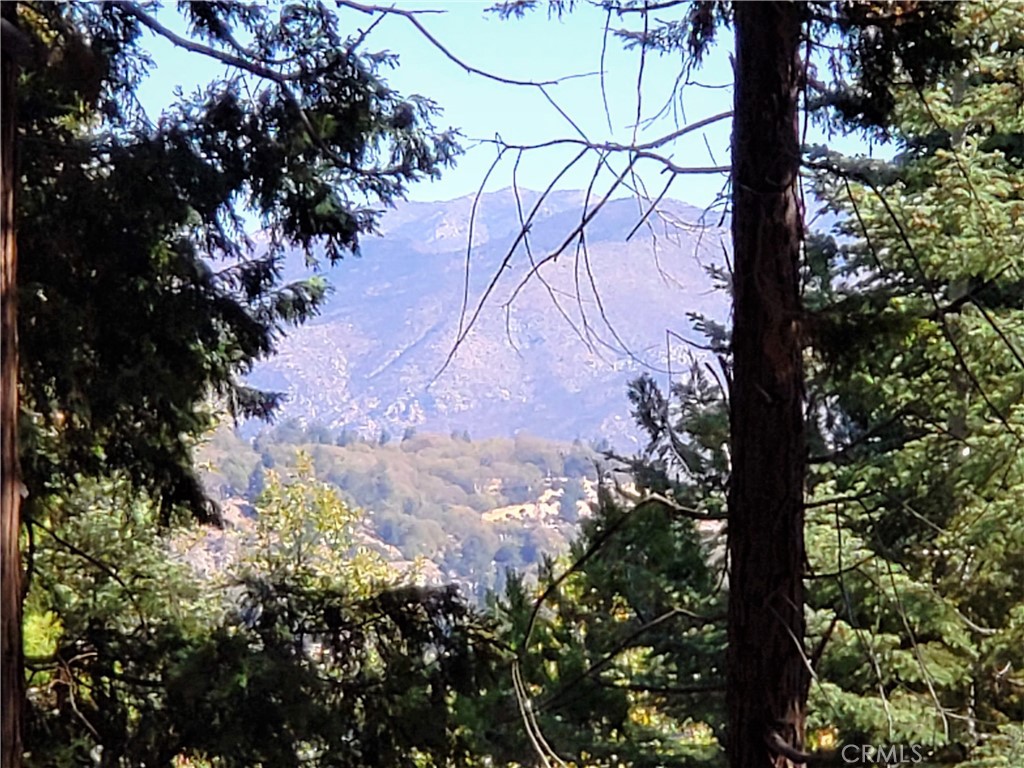 Arrowhead Woods - Land