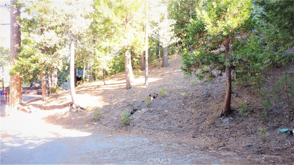 Arrowhead Woods - Land