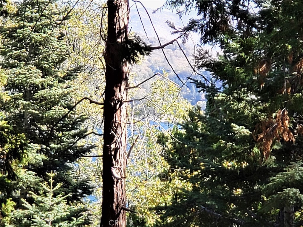 Arrowhead Woods - Land
