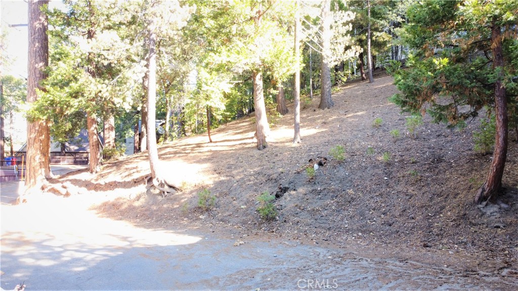 Arrowhead Woods - Land