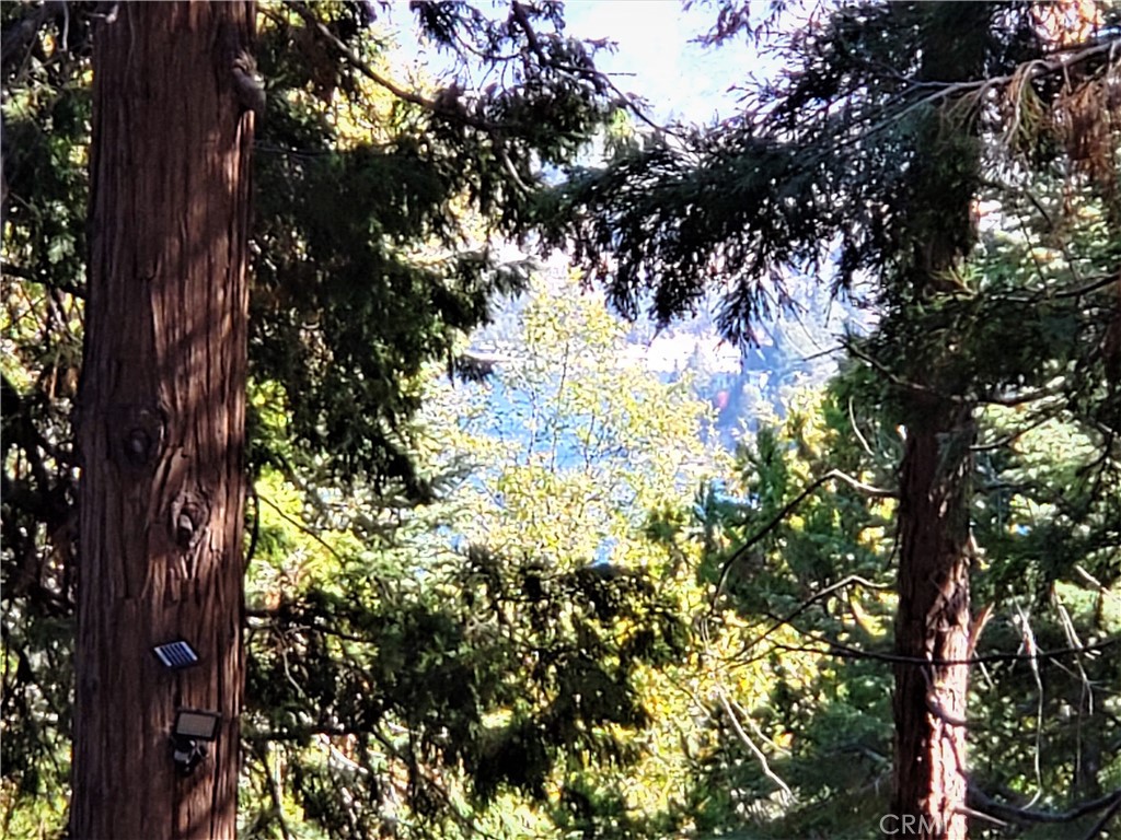 Arrowhead Woods - Land