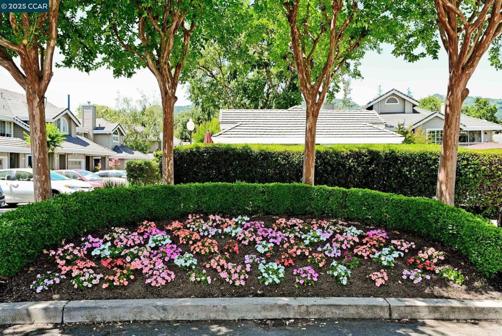 DANVILLE OAKS - Residential