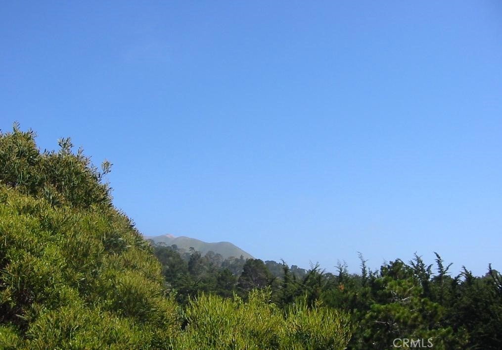 195 Spindrift Road