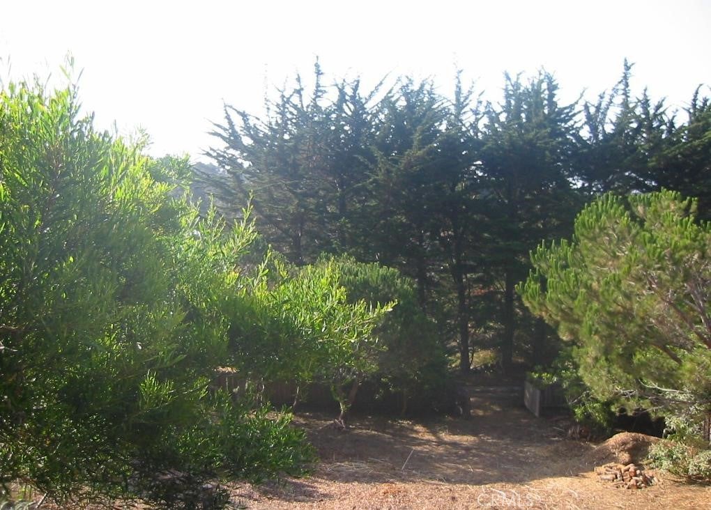 195 Spindrift Road