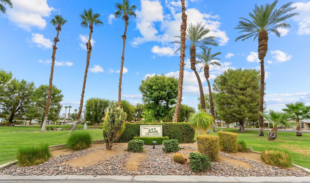 The Canyon - Manufactured In Park