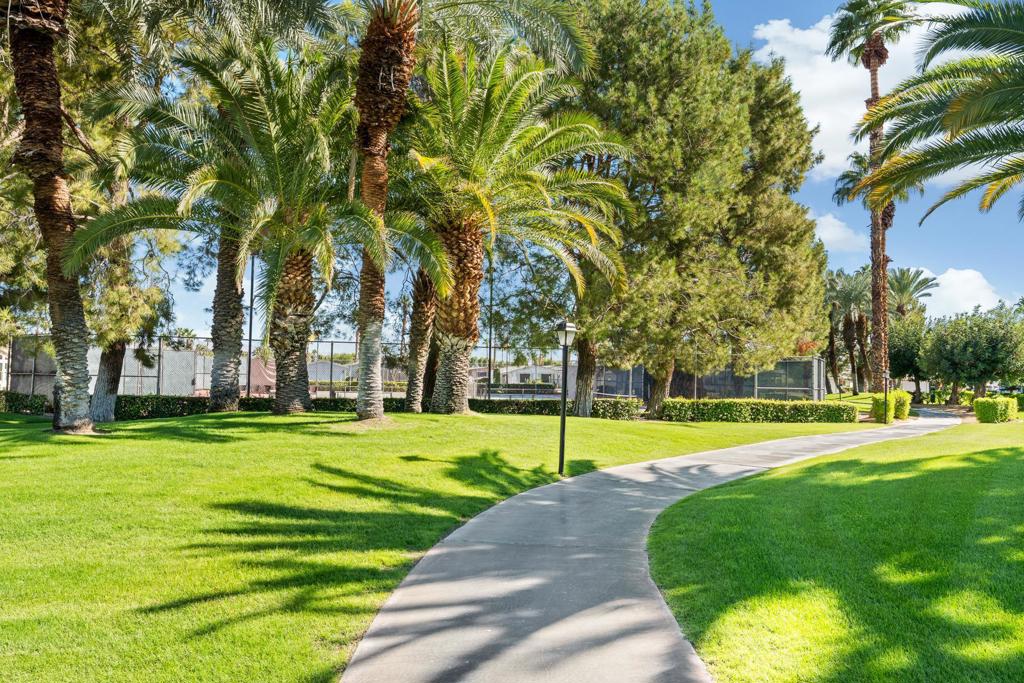 The Canyon - Manufactured In Park