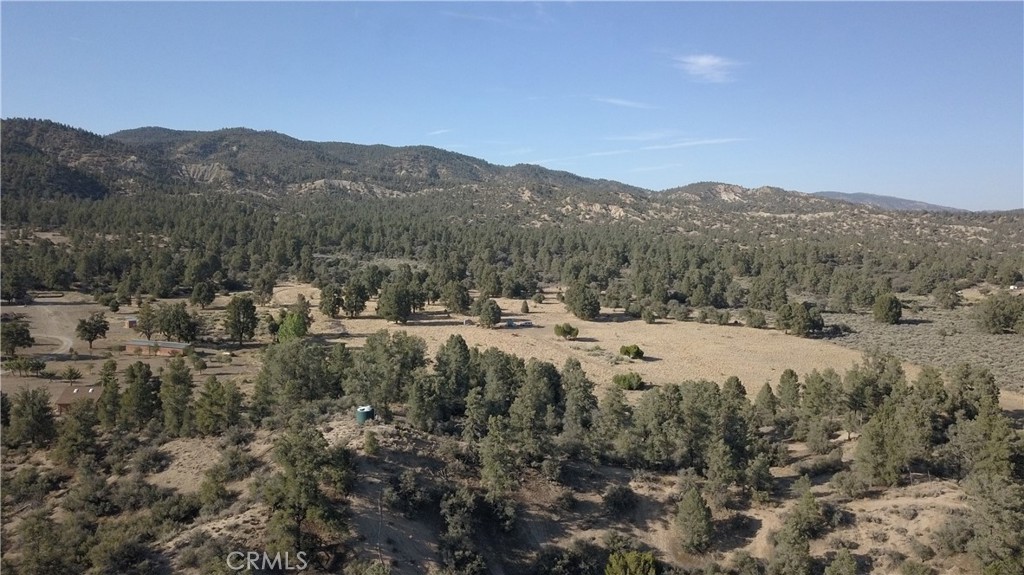 16469 Curtis Trail