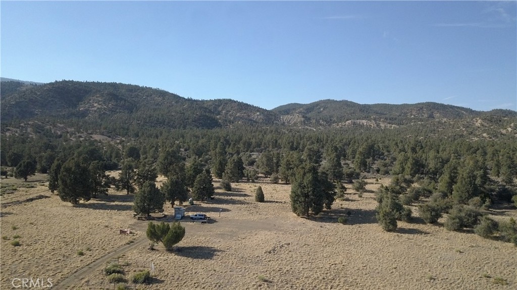16469 Curtis Trail