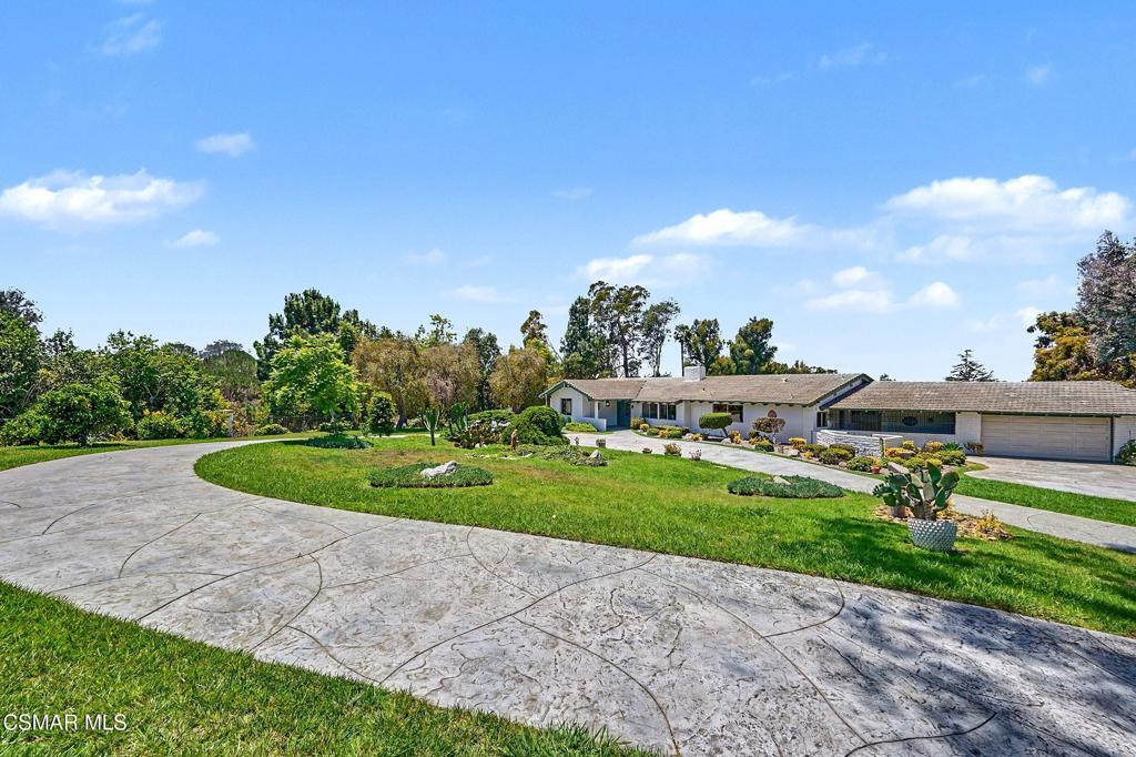 195 Avocado Place