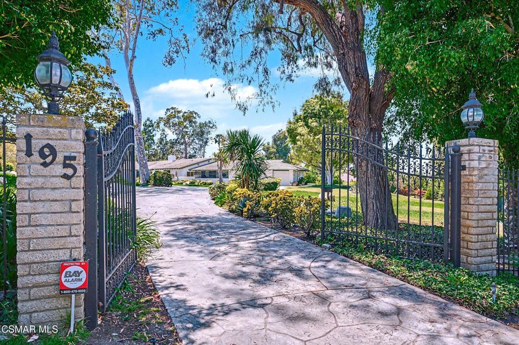 195 Avocado Place