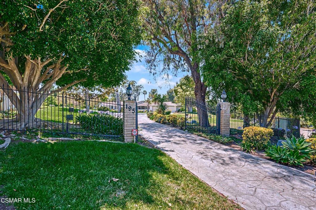 195 Avocado Place