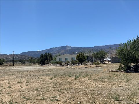 Photo of 9980 Pionero Road, Phelan, CA 92371 (MLS # IV25069943) Photo of 9980 Pionero Road, Phelan, CA 92371 (MLS # IV25069943)