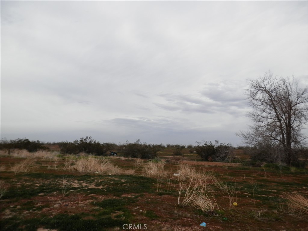 0 Chapparal Avenue