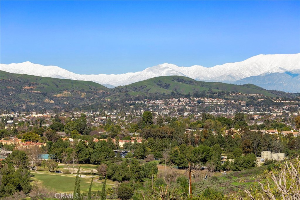 2061 Skyline Drive