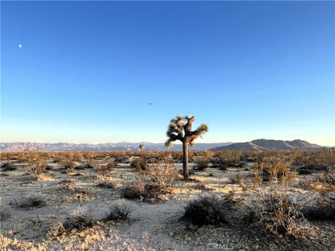Photo of 1010 Celeste Road, Joshua Tree, CA 92252 (MLS # JT26207611)