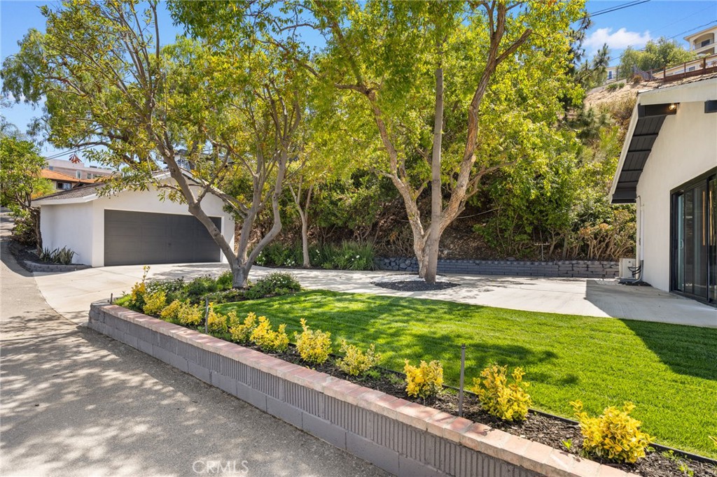 12284 Circula Panorama