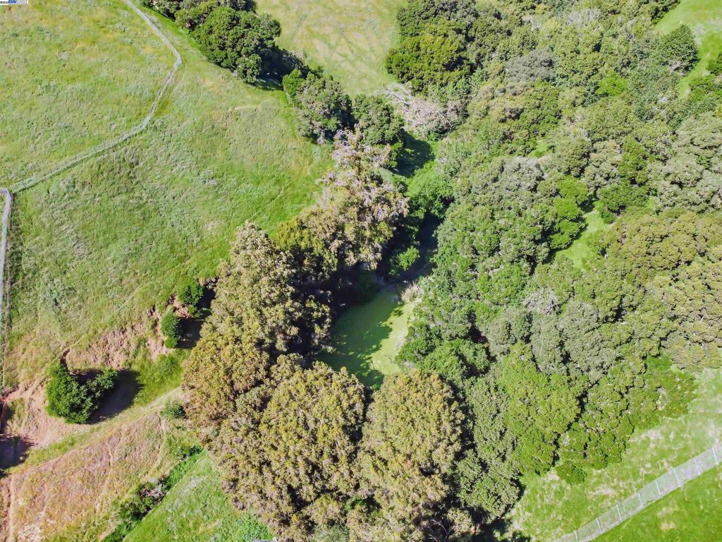 VARGAS PLATEAU - Residential