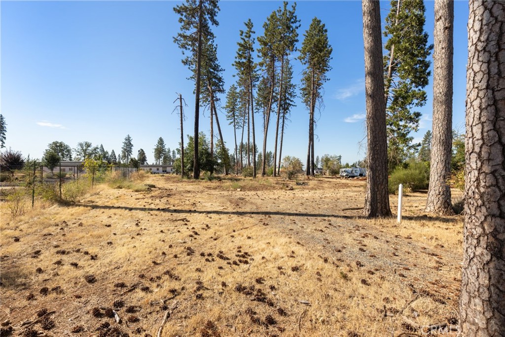 Build your dream home on this spacious .6-acre vacant lot located in the heart of Paradise, CA! Perfectly positioned right by Bille Park, you’ll enjoy easy access to walking trails, picnic areas, and stunning views. The property has a recent survey on file and previously held a 2-bedroom, 2-bathroom home leaving you the opportunity to rebuild or design something completely new. With its prime location, generous size, and peaceful surroundings, this lot offers endless potential for creating the lifestyle you’ve always wanted.