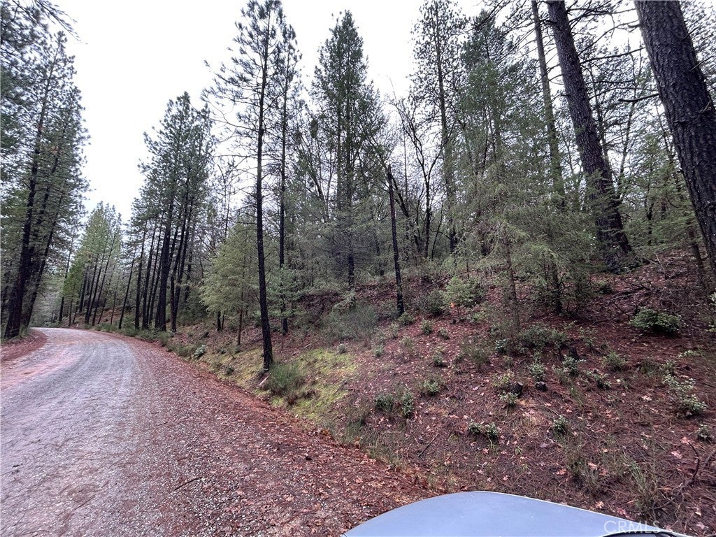 14550 Grizzly Hill