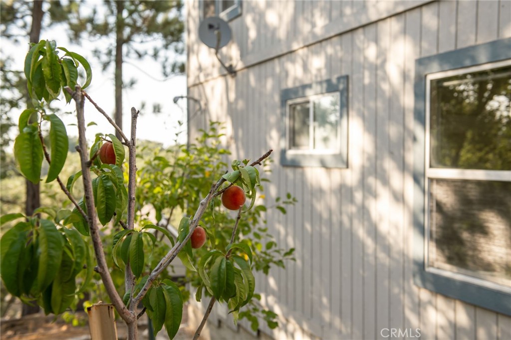 Arrowhead Woods (AWHW) - Residential Lease