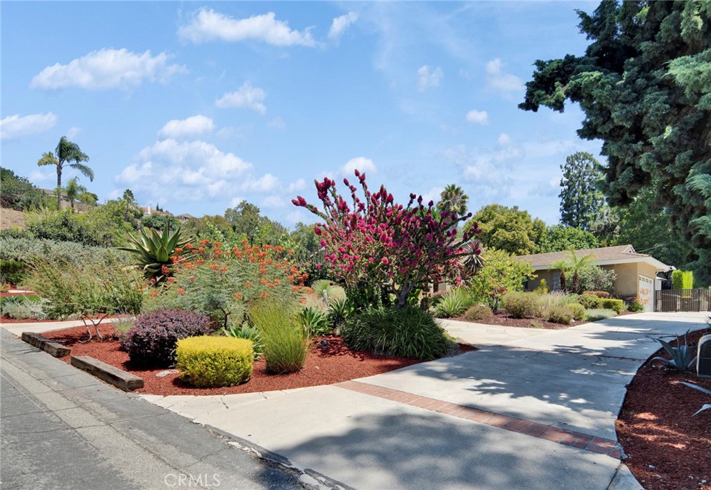 20694 E Rancho San Jose Drive