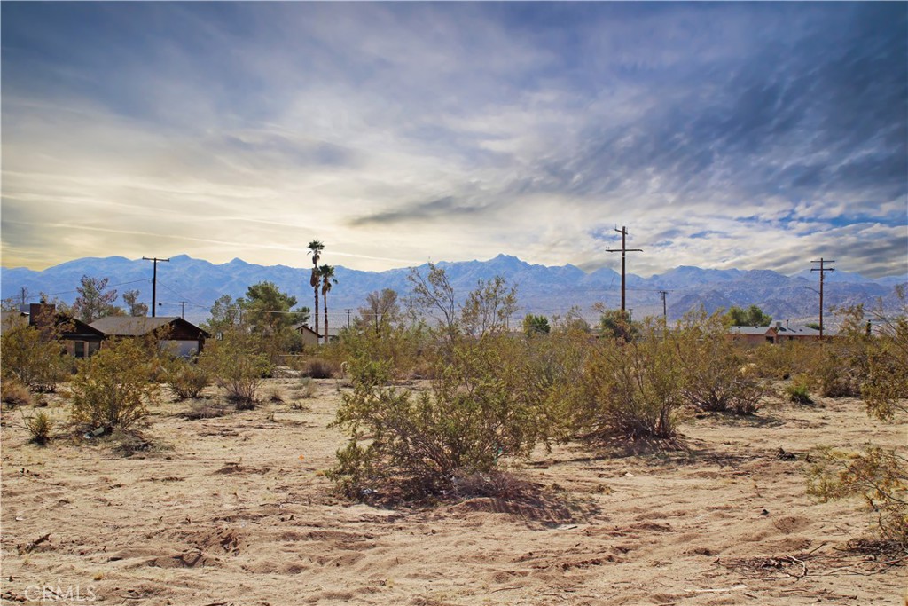 Embrace the Desert Dream on 0.45 Acres in Joshua Tree, San Bernardino County, CA!
Nestled in the captivating landscape of Joshua Tree, this 0.45-acre lot invites you to experience the allure of desert living. With city water at the lot line, this residential haven offers an ideal canvas for building your dream home. Imagine starry nights and Joshua Tree National Park's wonders just moments at a distance. Seize this rare opportunity to claim your slice of California paradise!
