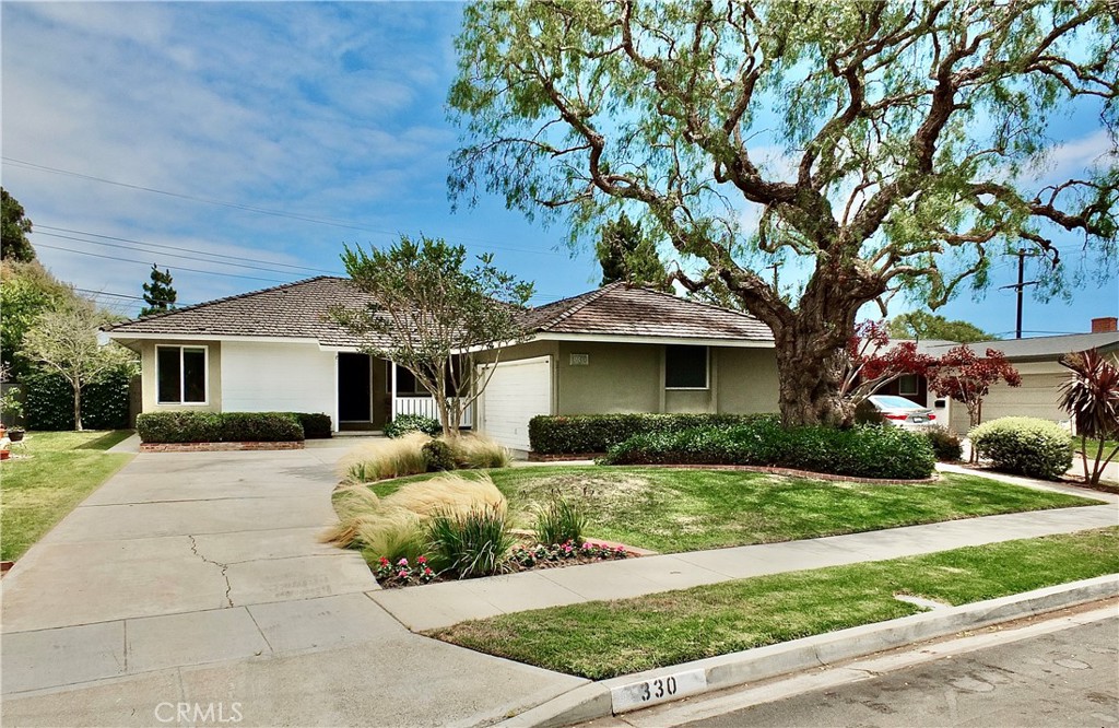 Highly desirable University Park Estates. This beautifully updated 3 bedroom, 2 bath single story is ready to be your next home! Hardwood floors, smooth ceilings, recessed lighting and rooms filled with natural light. Entry leads to the living room with a cozy wood burning fireplace, note the French doors that look out to the lush, peaceful backyard filled with roses, citrus & pomegranate trees and a welcoming patio. Back inside imagine dinner parties and relaxing evenings in the family room beyond. Open the doors and enjoy the summer breeze and gentle splashes from the fountain. The remodeled kitchen features a 5 burner La Cornue range with convection oven, beautiful cabinetry with glass detail & lighting, Lazy Susan corner kitchen cabinets, breakfast bar, a second sink and natural stone slate tile. This home is ready for the culinarian! Three nicely sized bedrooms, updated bathrooms and dual pane windows. The garage features built-in cabinetry with a utility sink, washer / dryer & refrigerator. Center tract location in a quaint neighborhood with elementary school, playground, walking / bike paths and close proximity to Belmont Shore, shopping, movie theaters, schools, beaches, farmers markets, golf courses and the restoration-in-progress Los Cerritos Wetlands!