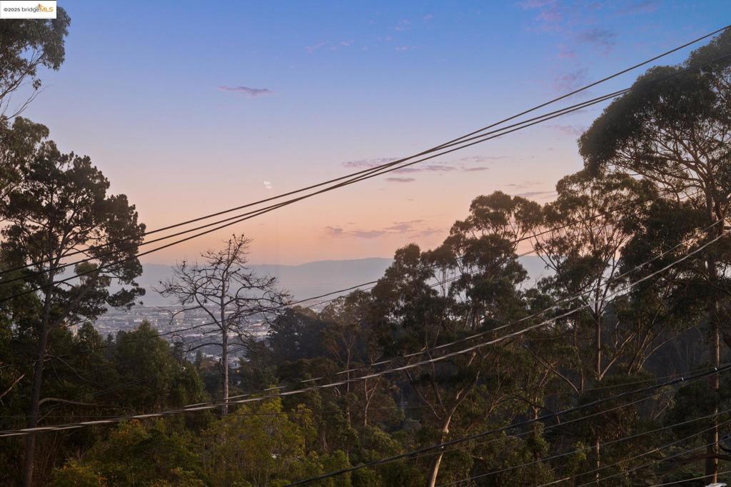 PIEDMONT PINES - Residential