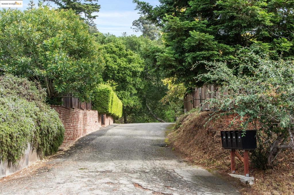 PIEDMONT PINES - Residential