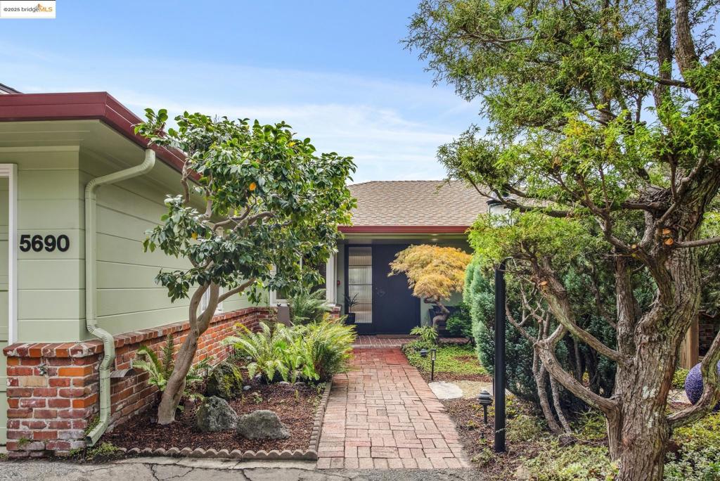PIEDMONT PINES - Residential