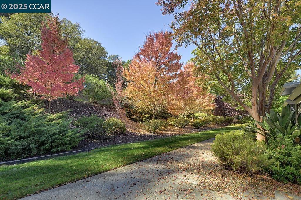 ROSSMOOR - Residential