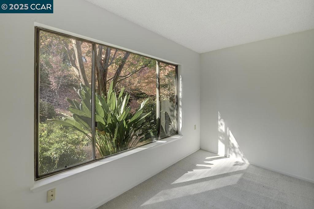 1137 Stanley Dollar Dr 5