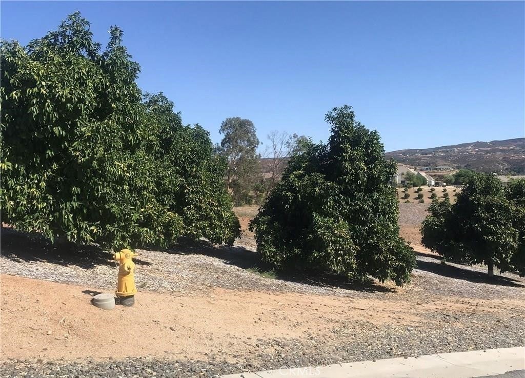 38538 Martin Ranch Road
