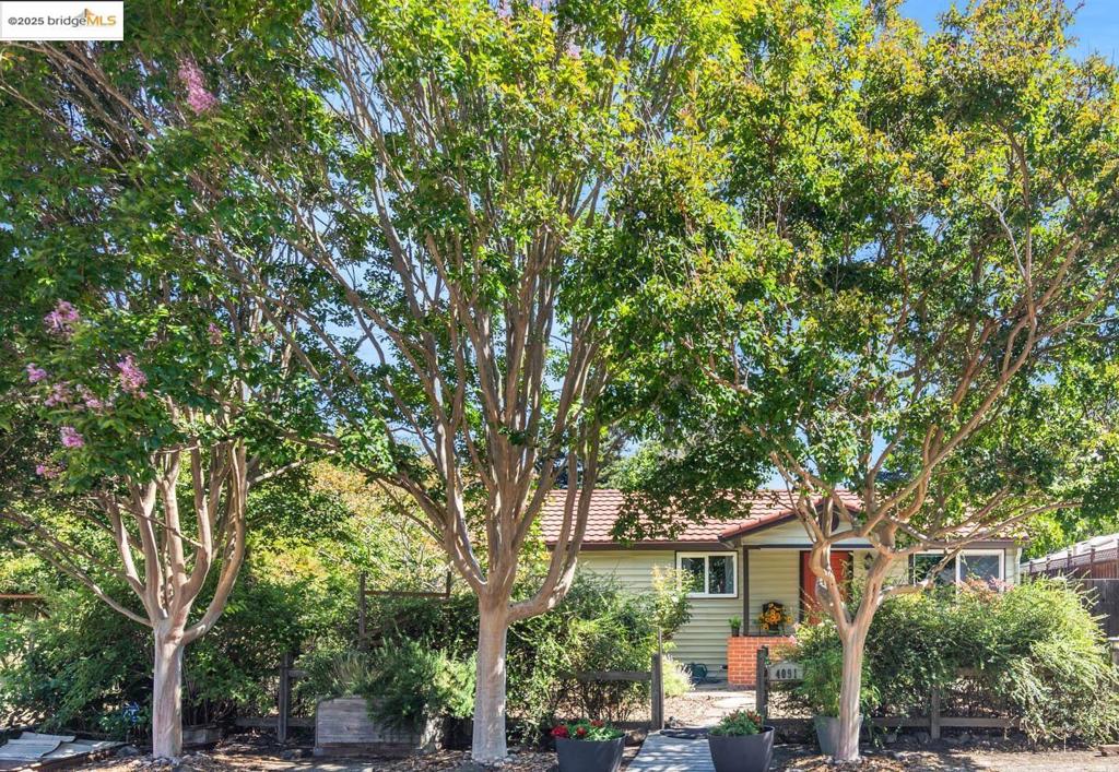 Nestled on a charming tree-lined street and post-era dairy farm, sits this darling 2-bedroom, 1-bath home with vinyl siding, dual pane windows, and a Lifetime standing seam steel roof. Home features include an 18-panel owned solar, green views from most windows, and Brazilian Walnut flooring throughout the main living area and hallway. Bedrooms feature oak hardwood floors; the primary bedroom has calming green views, built-in rolling drawers, and a large closet. The sunny kitchen features white cabinets equipped with swivel racks, roll-out shelving, under-cabinet lighting, tile counters, a gas range, and beautiful views out to the English-style rose garden. The comfortable living room features a fireplace with a Heatilator insert, perfect for those chilly nights. The yard features a relaxing deck, mature fruit trees, and a turf area surrounded by privacy plantings. A rose garden adorns the side of the 550 sq ft garage, which features 220v, washer/dryer hook-ups, an equipment cage, a new garage door, space for two cars, storage, and a workshop. Beyond the garage is an artist studio or home office equipped with power and internet. Just minutes to Orinda shopping, East Bay Regional Parks, many commute options, and a short drive to San Francisco for world-class dining and museums.