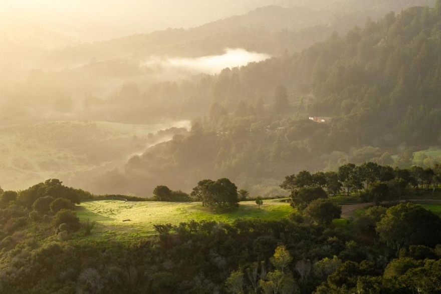 The best remaining unbuilt homesite within the exclusive Santa Lucia Preserve is this exceptional 34-acre homesite offering a rare opportunity to create your dream estate, just inland of Carmel-by-the Sea. Just 4 minutes from the Preserves front gate, this site boasts a usable 4-acre building envelope, allowing for a multi-level main house, guest house, ADU, equestrian use & barn (for horses, cars, or other recreation). Enjoy ultimate privacy and breathtaking panoramic views of rolling hillsides, majestic redwoods & heritage oaks. Well over 1 million dollars were invested in improvements including utilities that are conveniently stubbed at the site, retaining walls are built and fuel management plans have been executed, making the build process seamless. The Preserve is a premier private Community, limited to just 300 owners with world-class amenities, including a Tom Fazio golf course, 100 miles of trails, an equestrian center, fitness facilities, pools, pickleball courts, & a lake for paddling, fishing & glamping. Resident services staff, a fire department and paramedics, a surplus of water storage & additional safety measures are in place for your enjoyment of living in the exquisite nature setting. Experience the perfect balance of seclusion & convenience in this community.