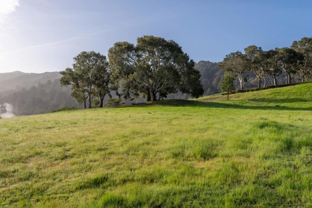 17 Rancho San Carlos Road (Lot 4)